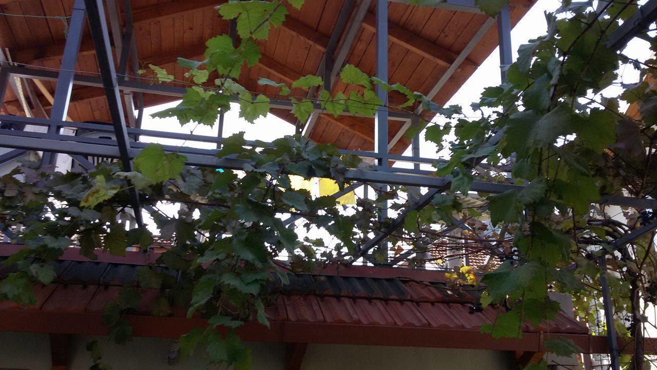 Guesthouse 26 Mtskheta Exterior photo